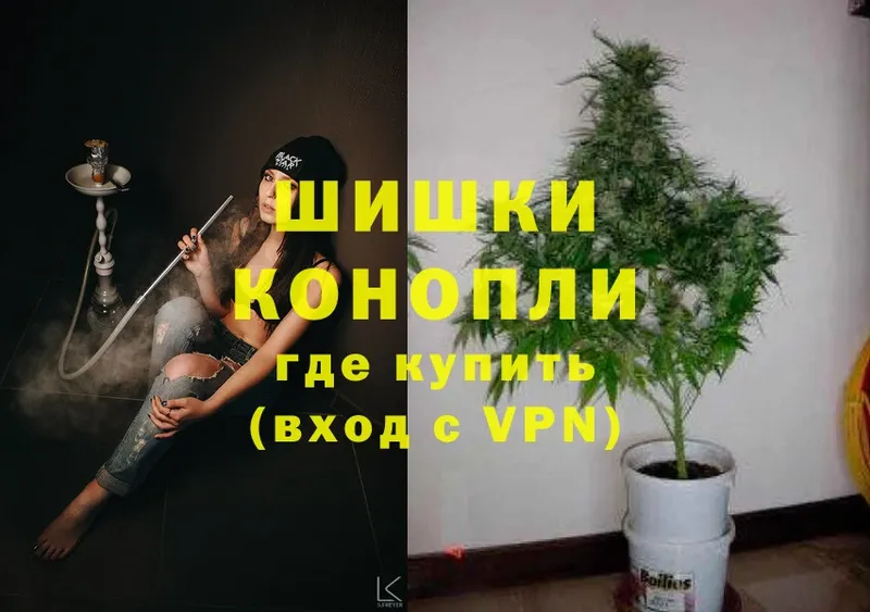 Каннабис SATIVA & INDICA  где купить наркоту  Ковров 